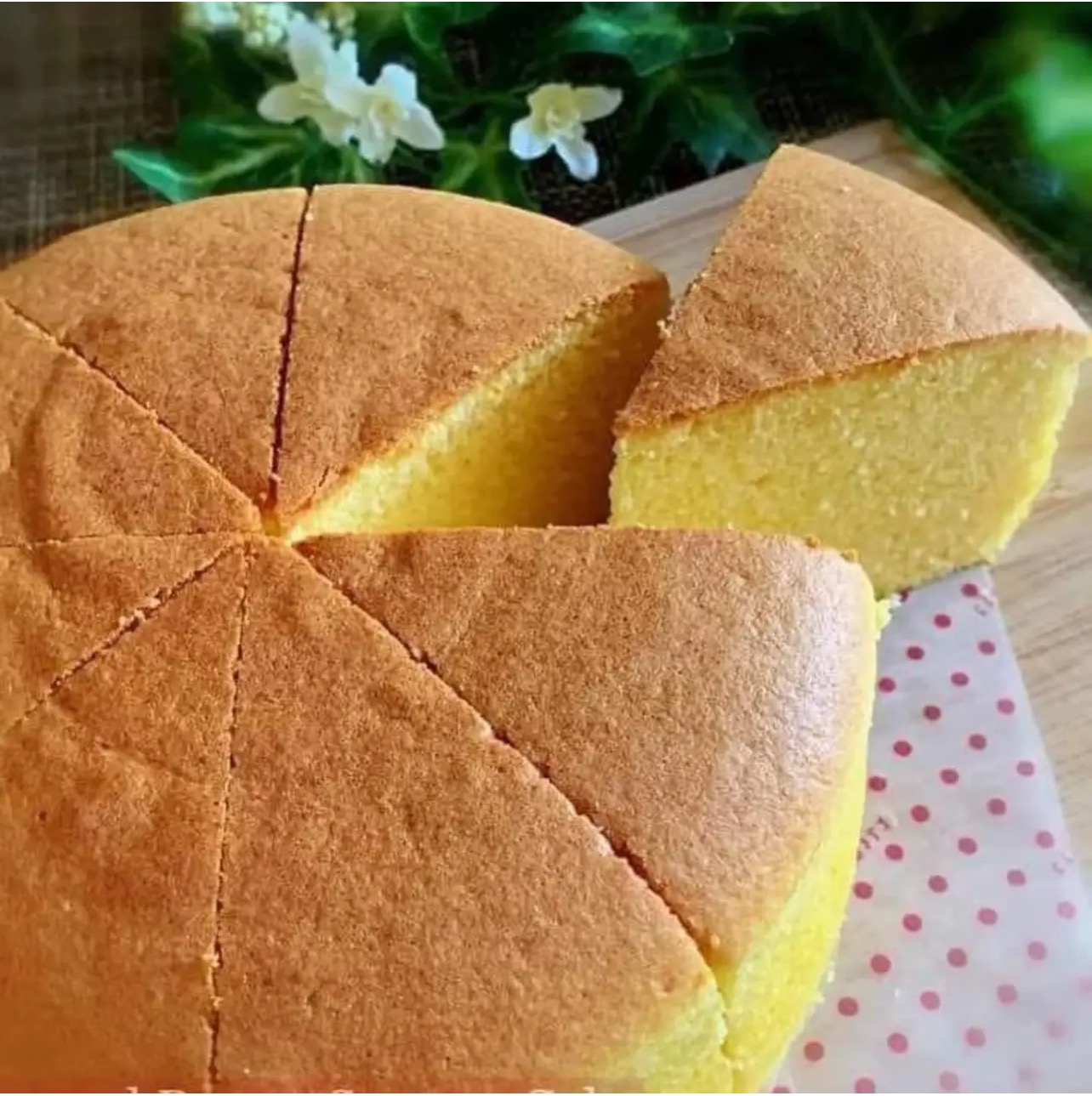 Japanese Cotton Cheesecake Recipe